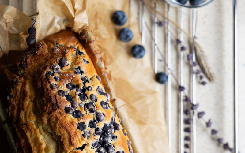 Bröd med Blåbär - Glutenfri
