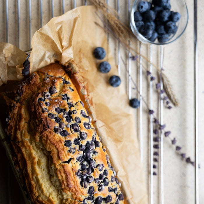 Bröd med Blåbär - Glutenfri