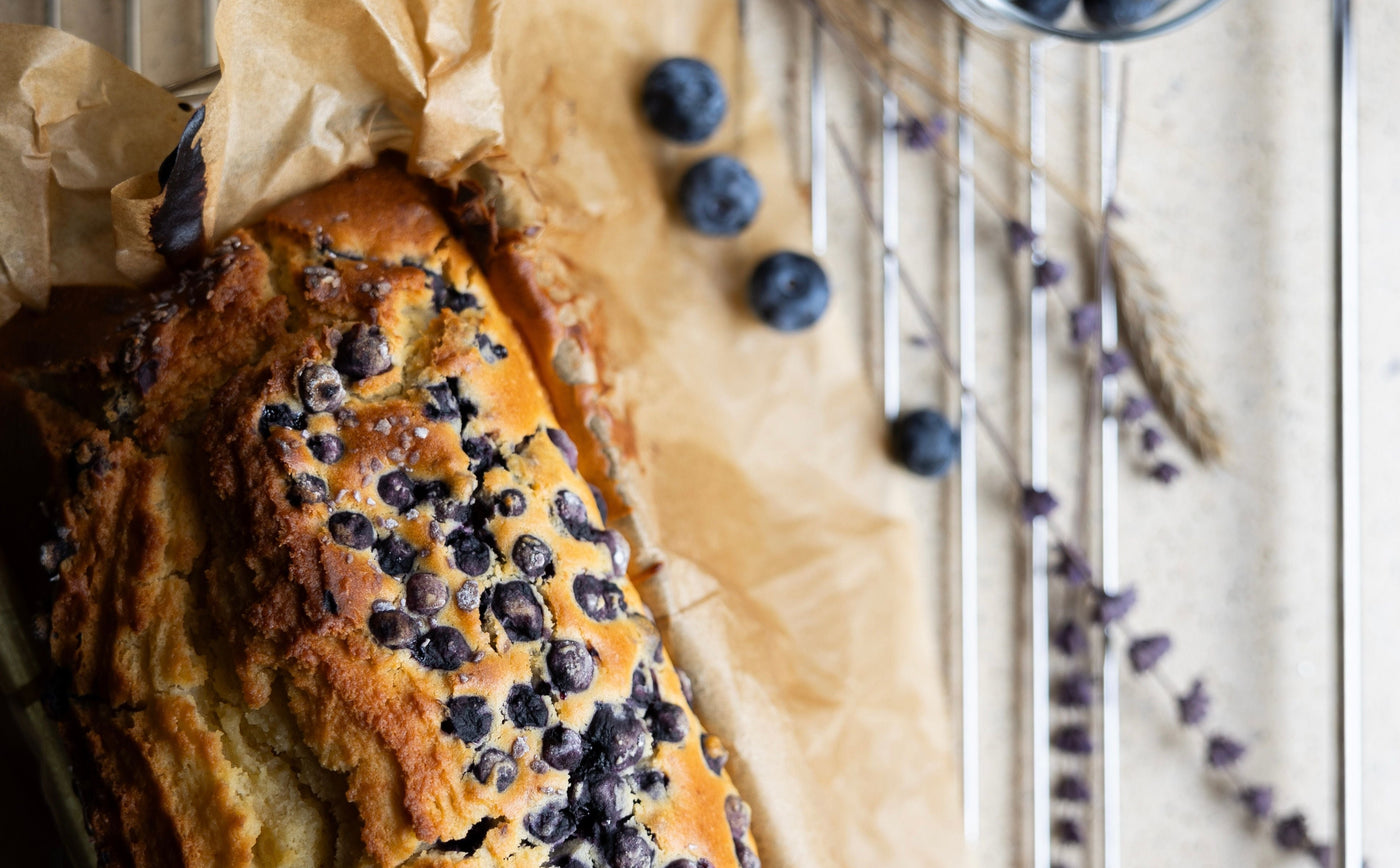 Bröd med Blåbär - Glutenfri